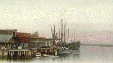 View of Wharves - 1907 